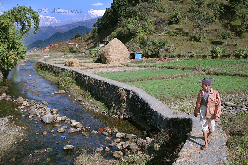 nepali farming economy